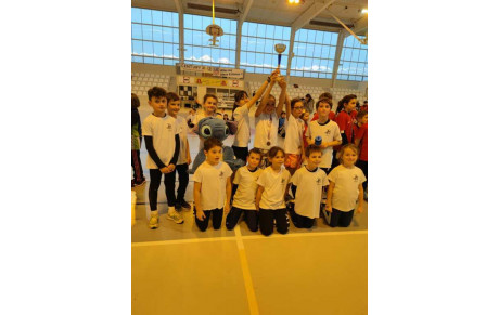 Résultats EA - Poussins du 9 Décembre